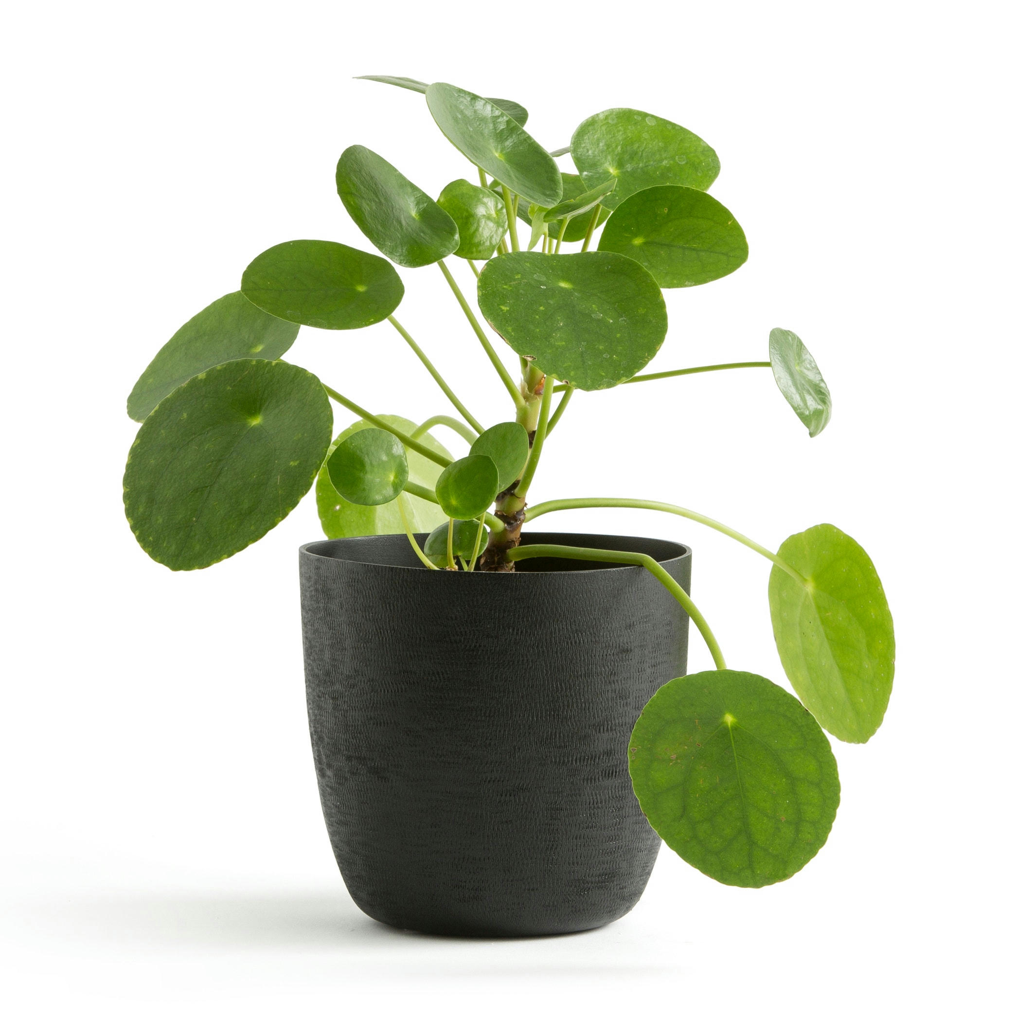 Cache-pot rond en aluminium Ø14 cm, Anaïa