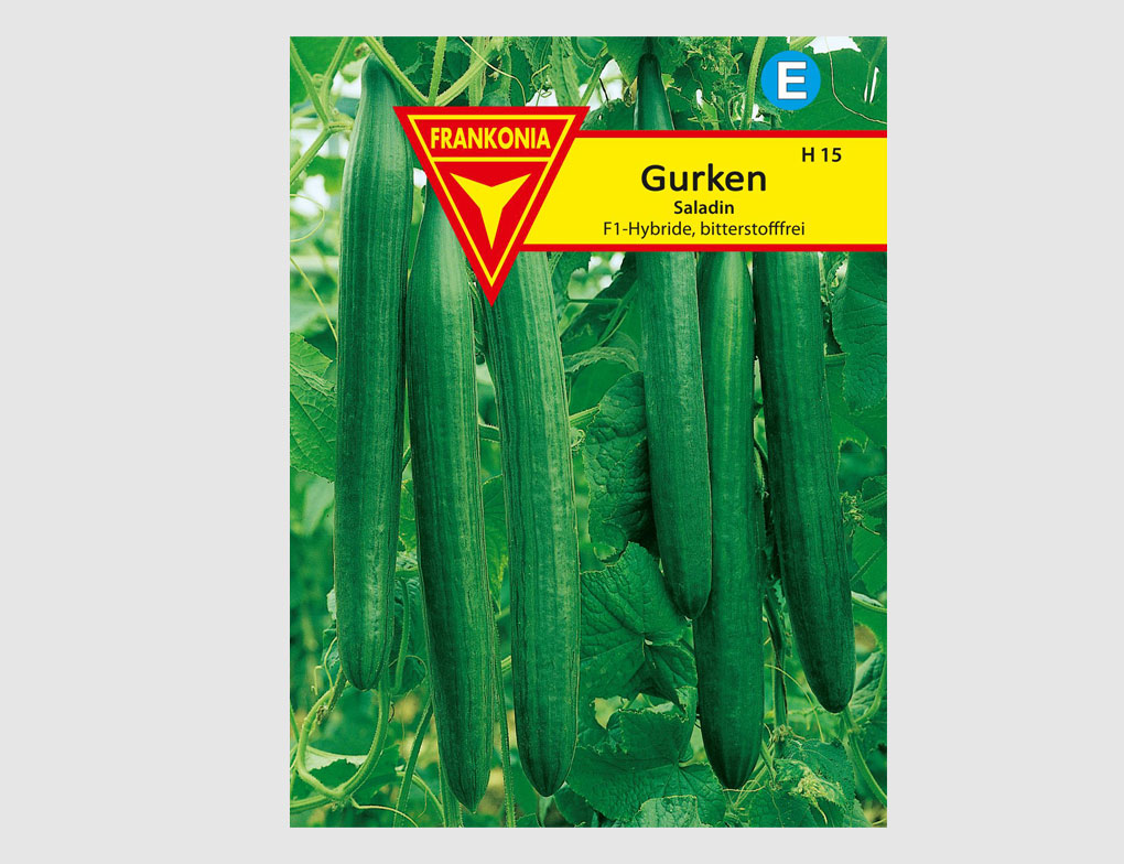 Gurken Saladin