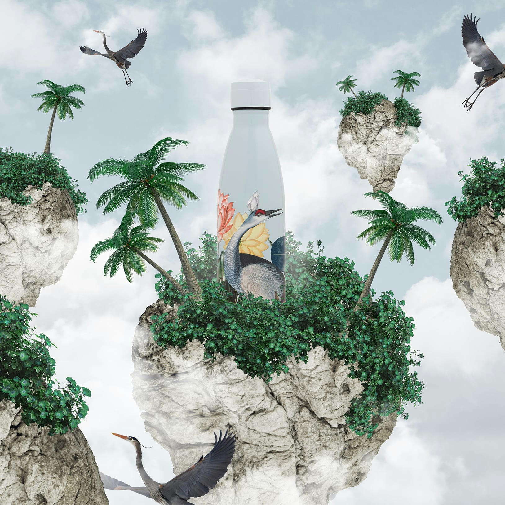 - Bouteille  isotherme 