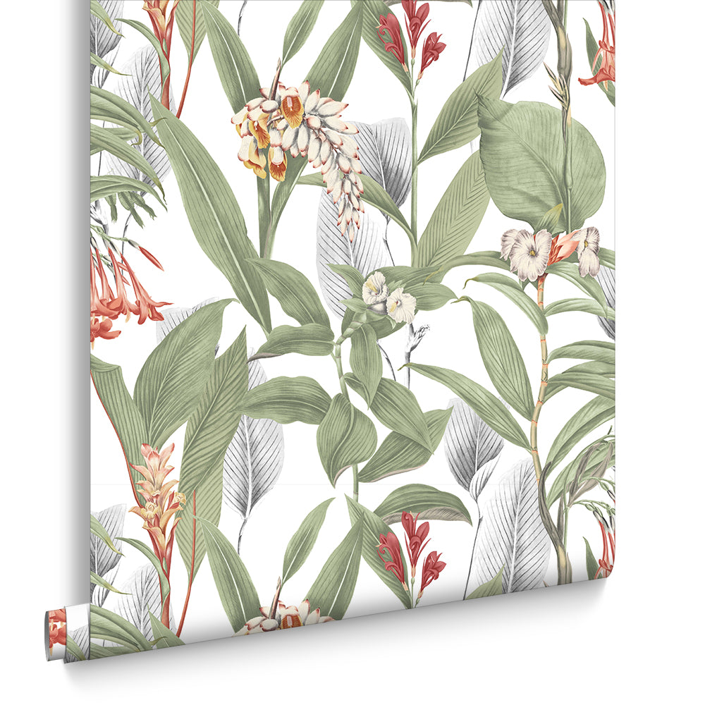 Graham & Brown Vliesbehang - Botanical Powder -10mx52cm