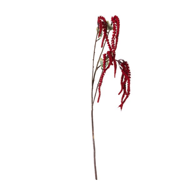 FLOR FALL