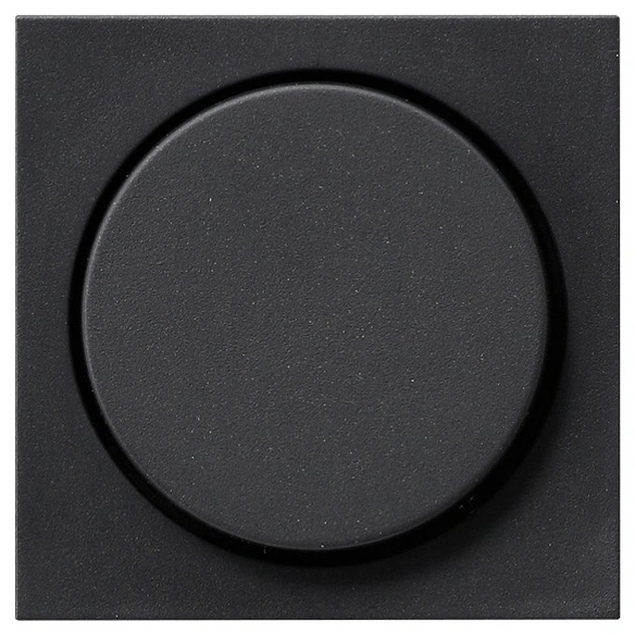 Dimmer-Abdeckung, anthrazit, 1 Stück