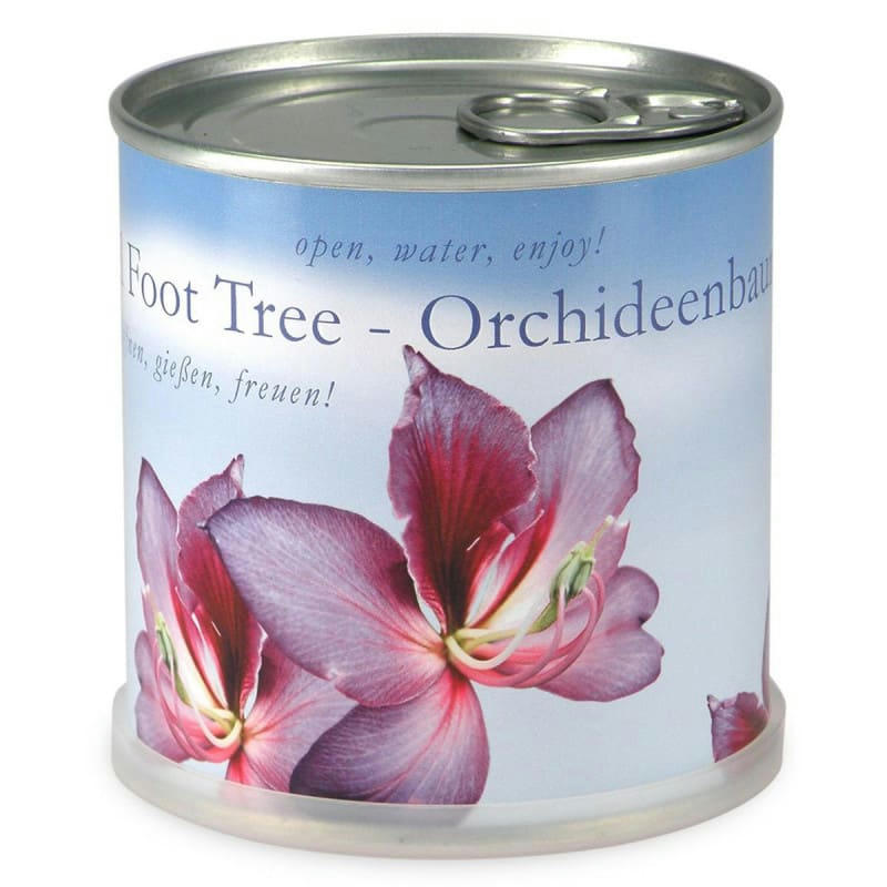 - Orchidée à faire pousser en boite