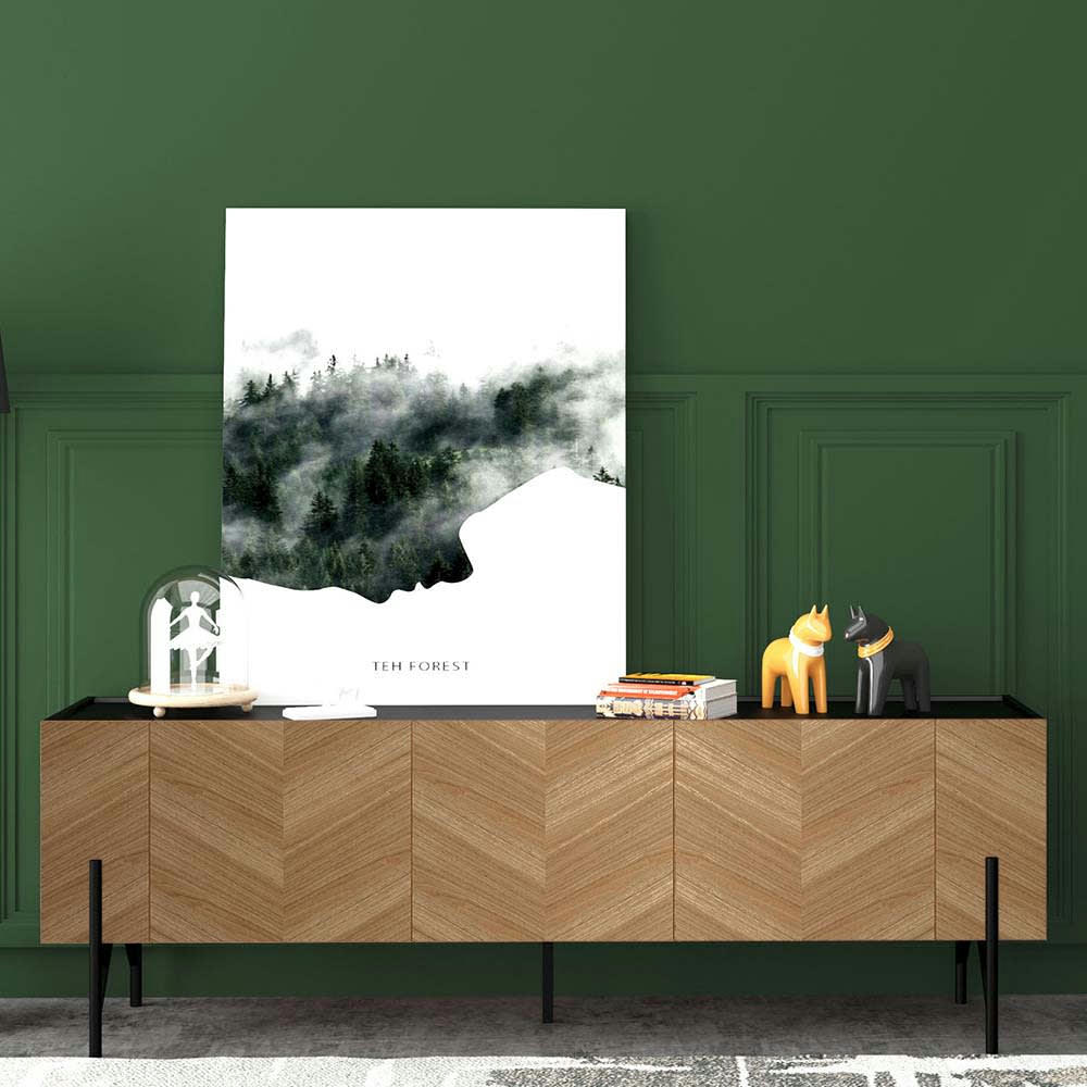 SEQUOIA - Meuble TV vintage avec rangements