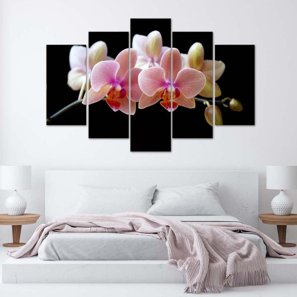 Feeby Obraz 5 częściowy na płótnie Różowa orchidea 100x70