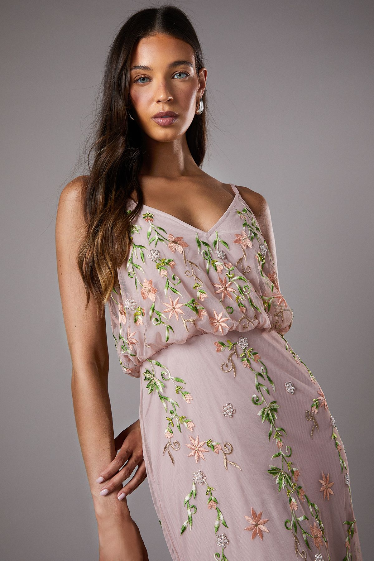 Coast Embroidered Maxi Dress With Godet Detail