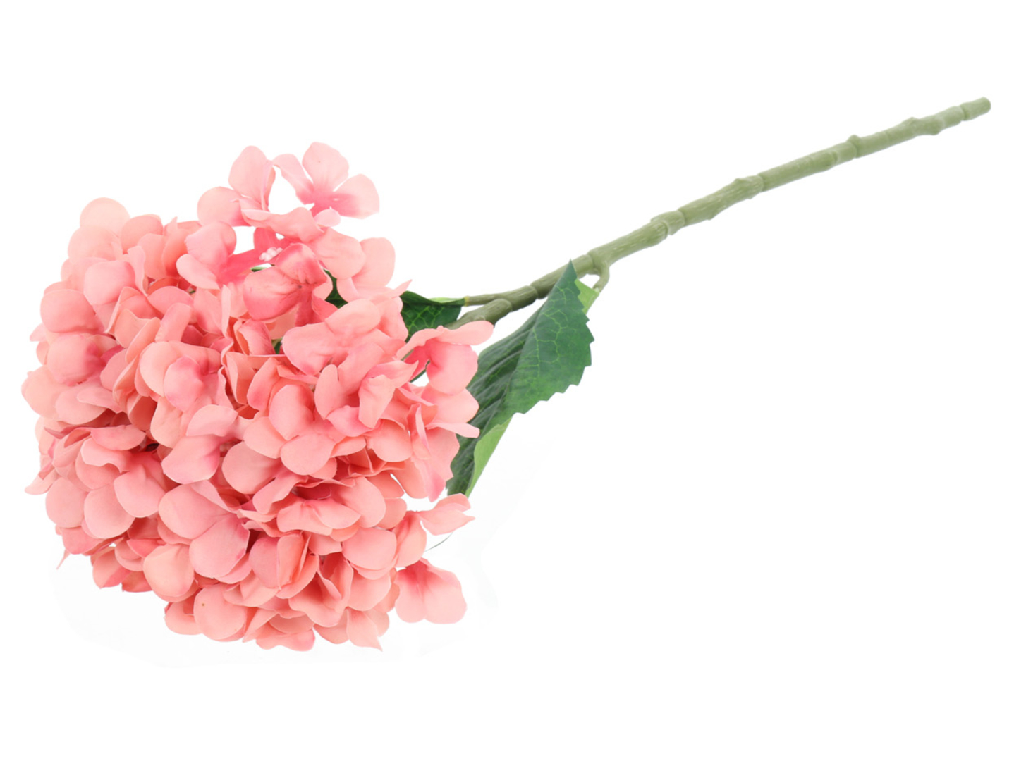 Hortensja pojedyncza 54 cm różowa