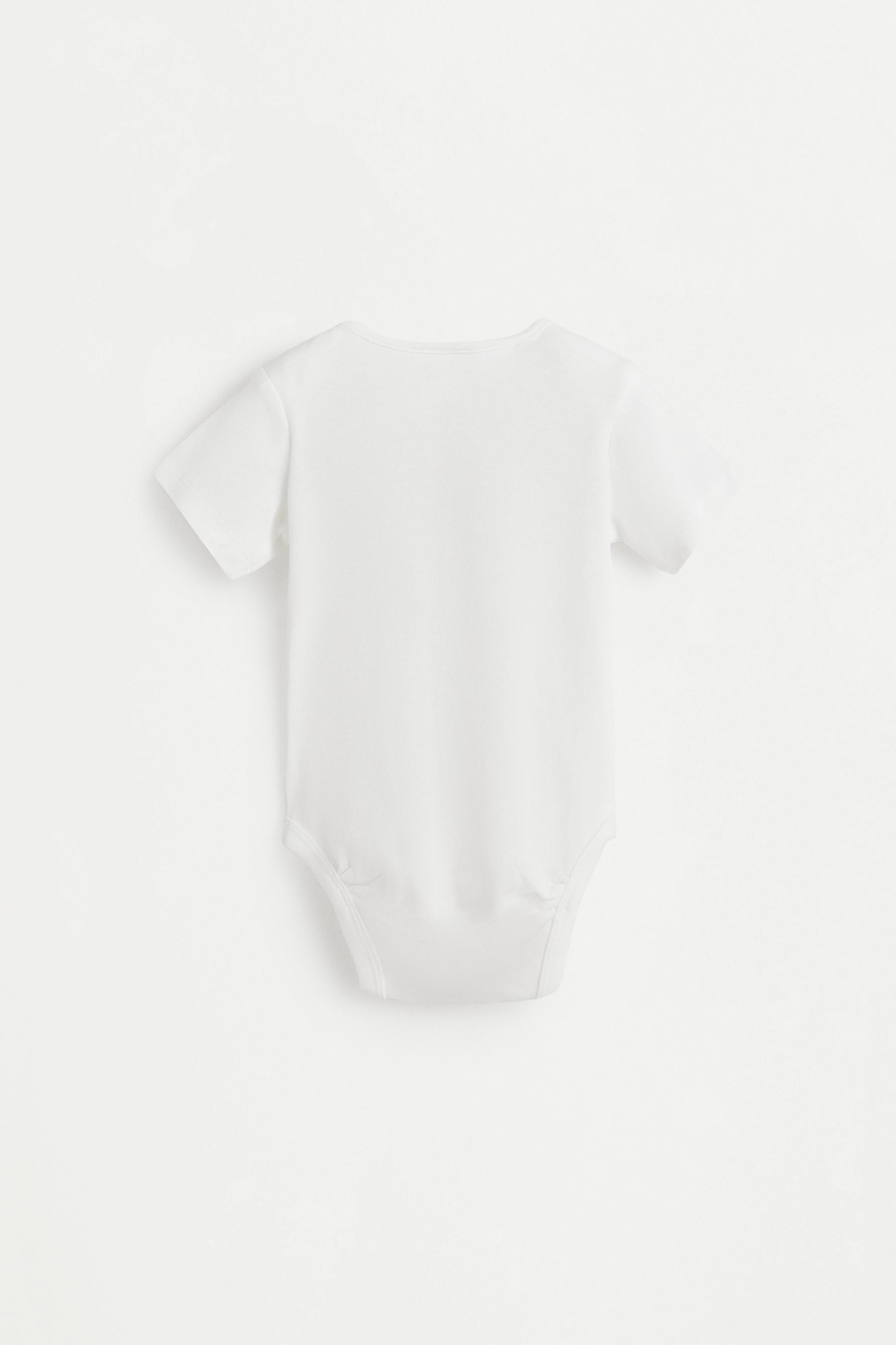 Bodies lisos (Pack 4)