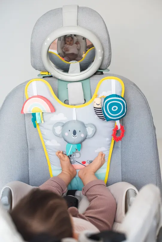Spielzeug Taf Toys