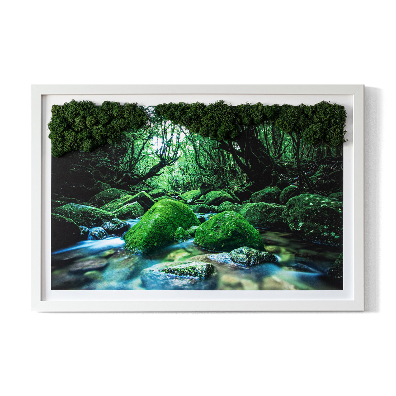 Obraz z mchem - Rzeka w środku lasu 60x40 cm Biała Rama