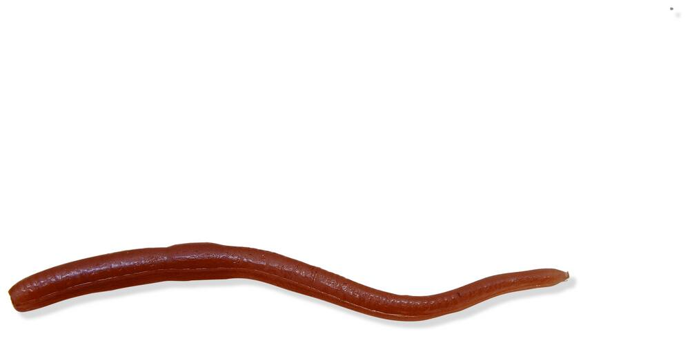 Mister Twister Nightcrawler Worm Lure