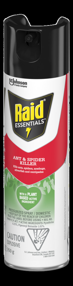 Raid Essentials Ant & Spider Killer Spray, 350-g