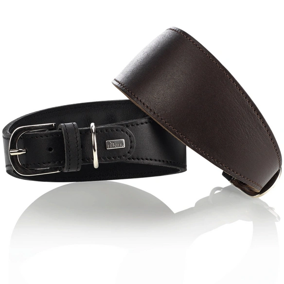 Windhundhalsband, Gr. M, schwarz