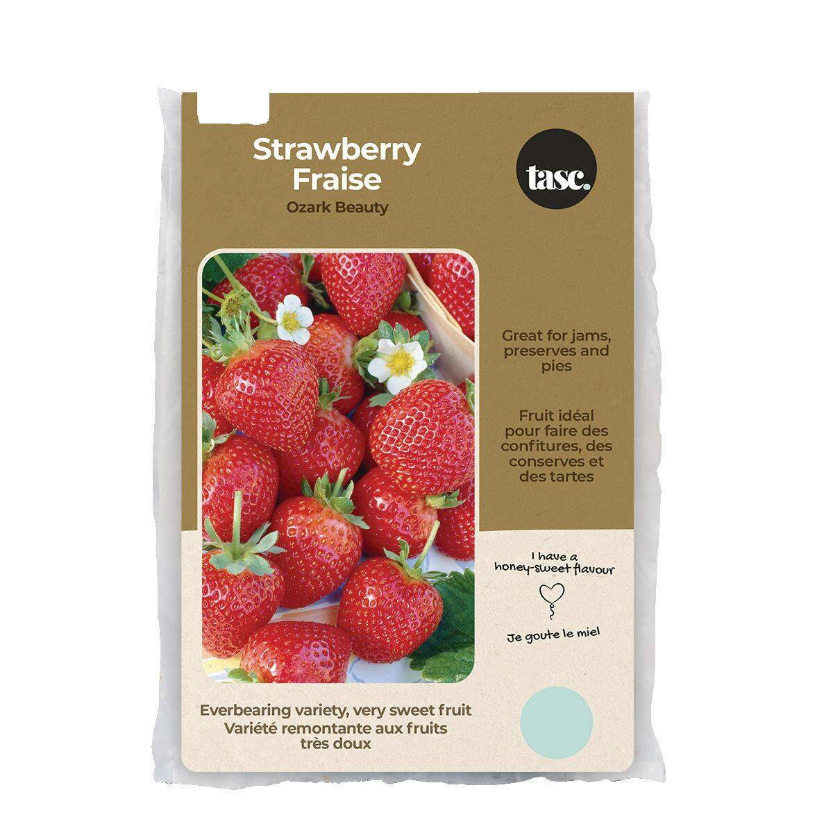 Bulbs Are Easy, Ozark Beauty Strawberry Bulbs, Ready to Plant for your Home Garden