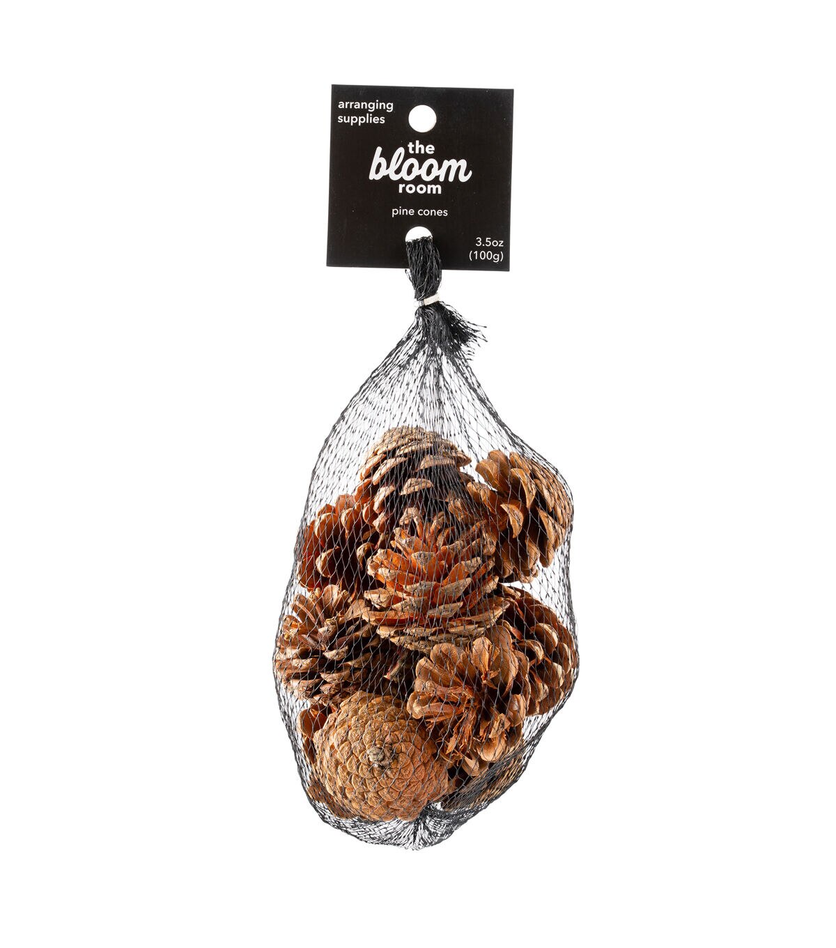 3.5oz Bagged Pinecones by Bloom Room