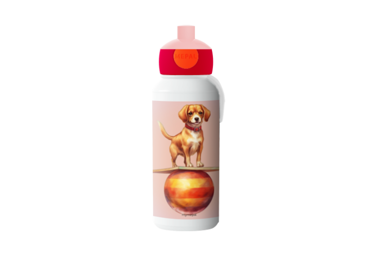 pop-up Campus-400ml - Circus