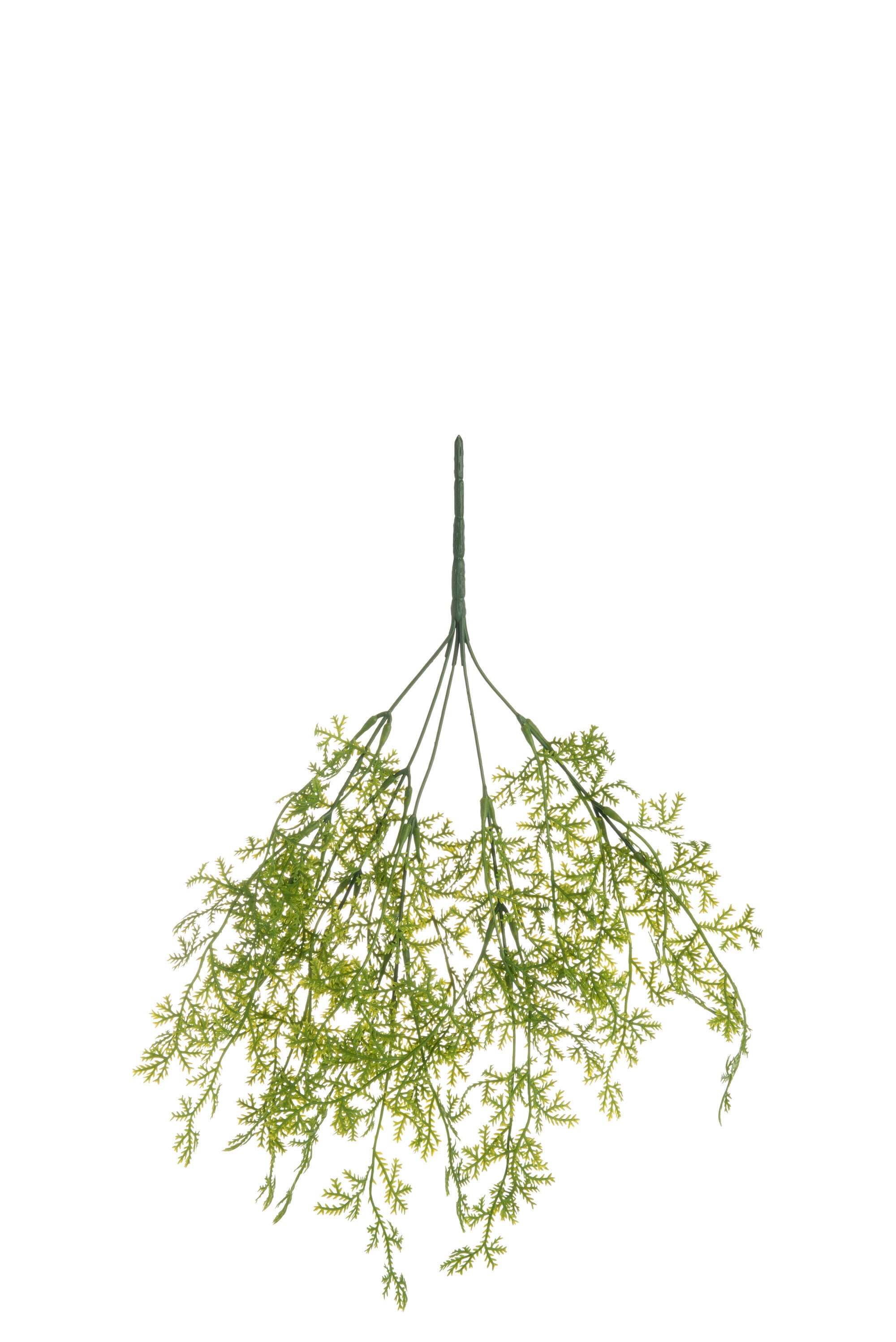 J-Line decoratie tak Varen Fijn - kunststof - groen
