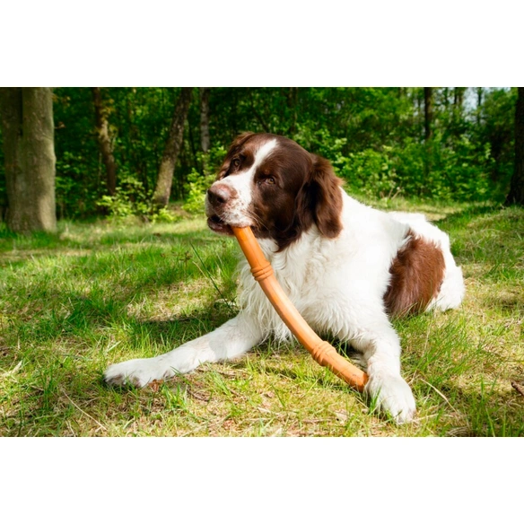 Hundespielzeug »Sumo Fit Stick«, orange, Gummi