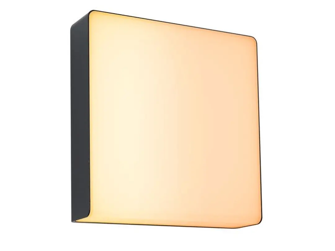 Outdoor Wandleuchte Paulmann