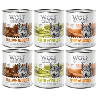 Wolf of Wilderness Adult Single Protein Saver Pack 24 x 800g