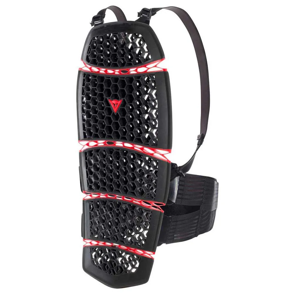 Dainese Pro-Armor 2.0 back protector