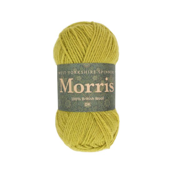 West Yorkshire Spinners Artichoke Morris DK 50g