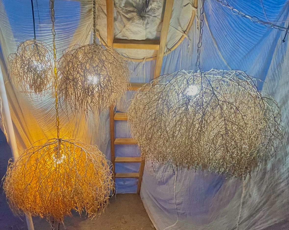 Tumbleweed Chandelier! The Original Tumblier ALL Sizes! XL, Large, Medium, Small HARDWIRE version Western Home Decor Southwest Lighting U S