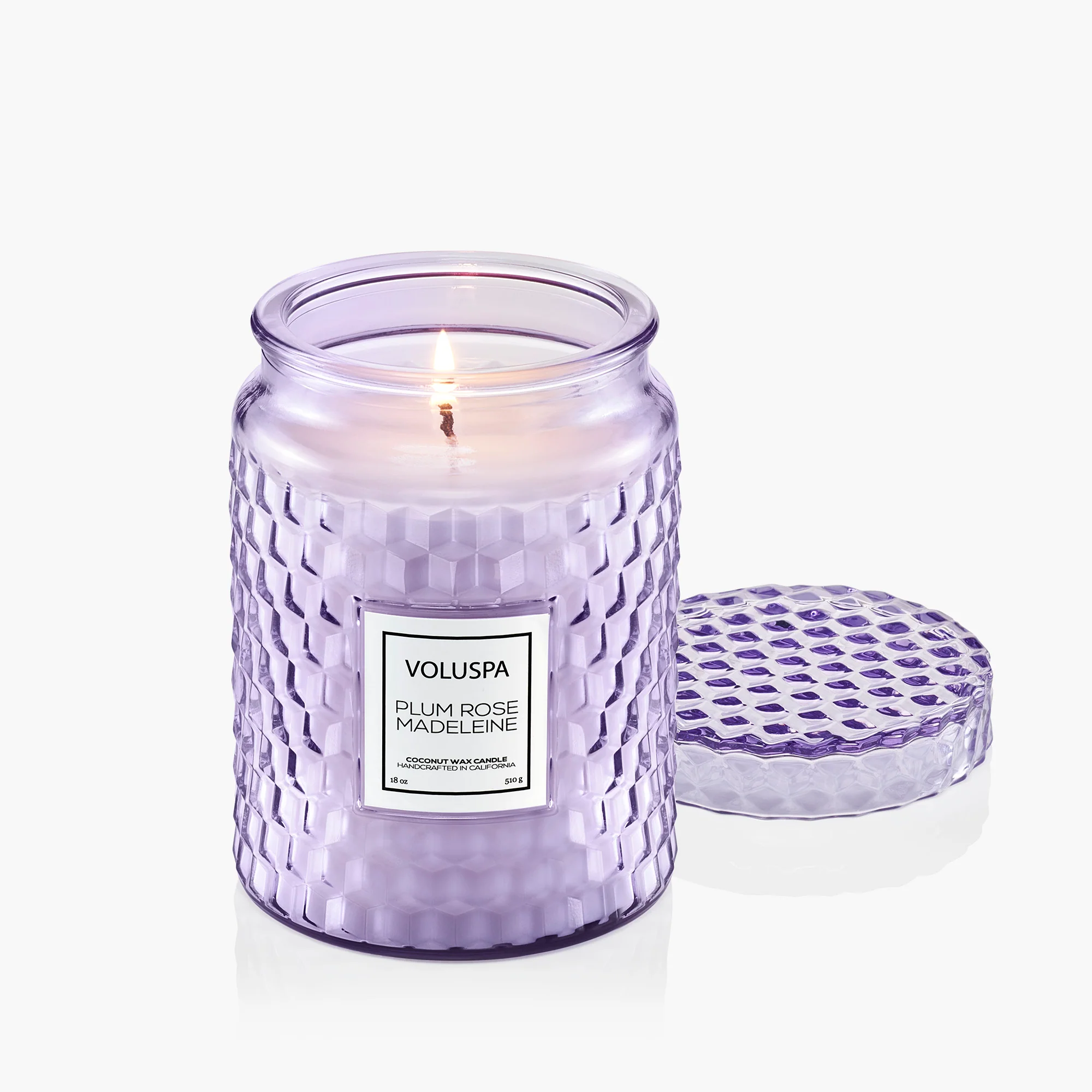 Plum Rose Madeleine - Large Jar Candle