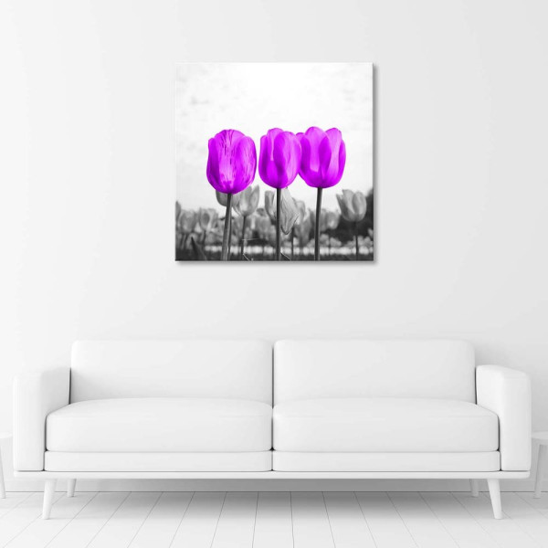 Feeby Obraz na płótnie Fioletowe tulipany na łące 30x30