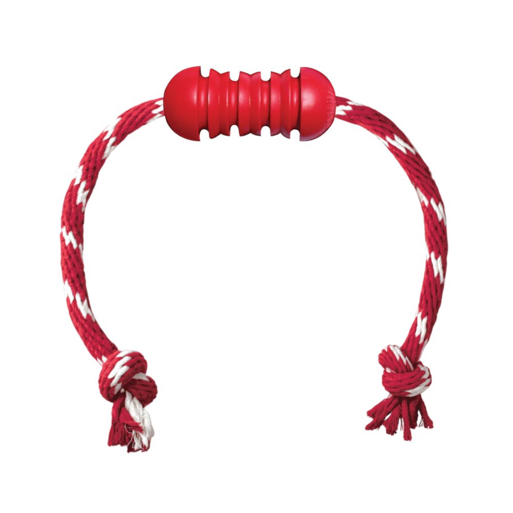 KONG Dental Dog Toy with Rope