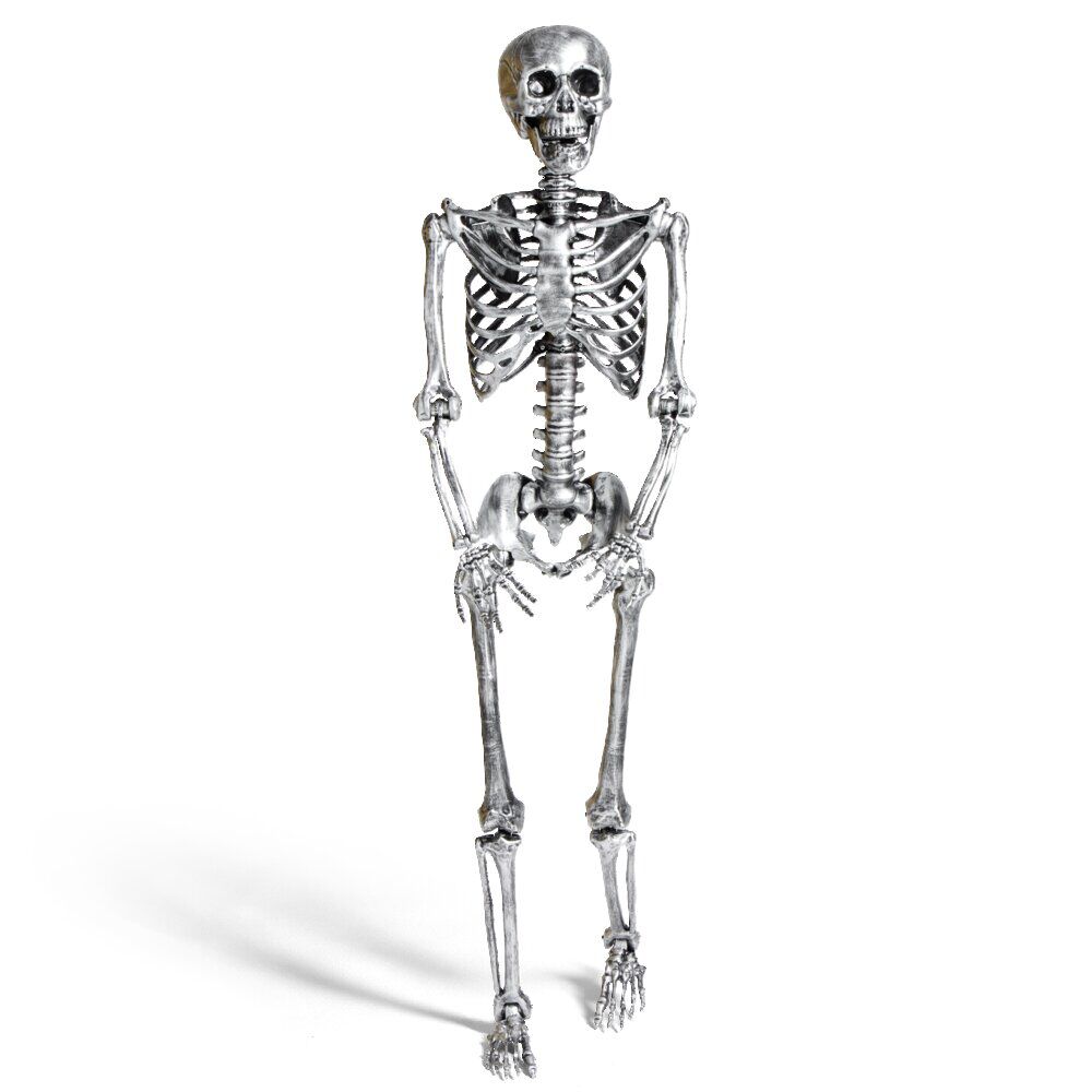 Squelette articulé Halloween H150cm plastique argenté