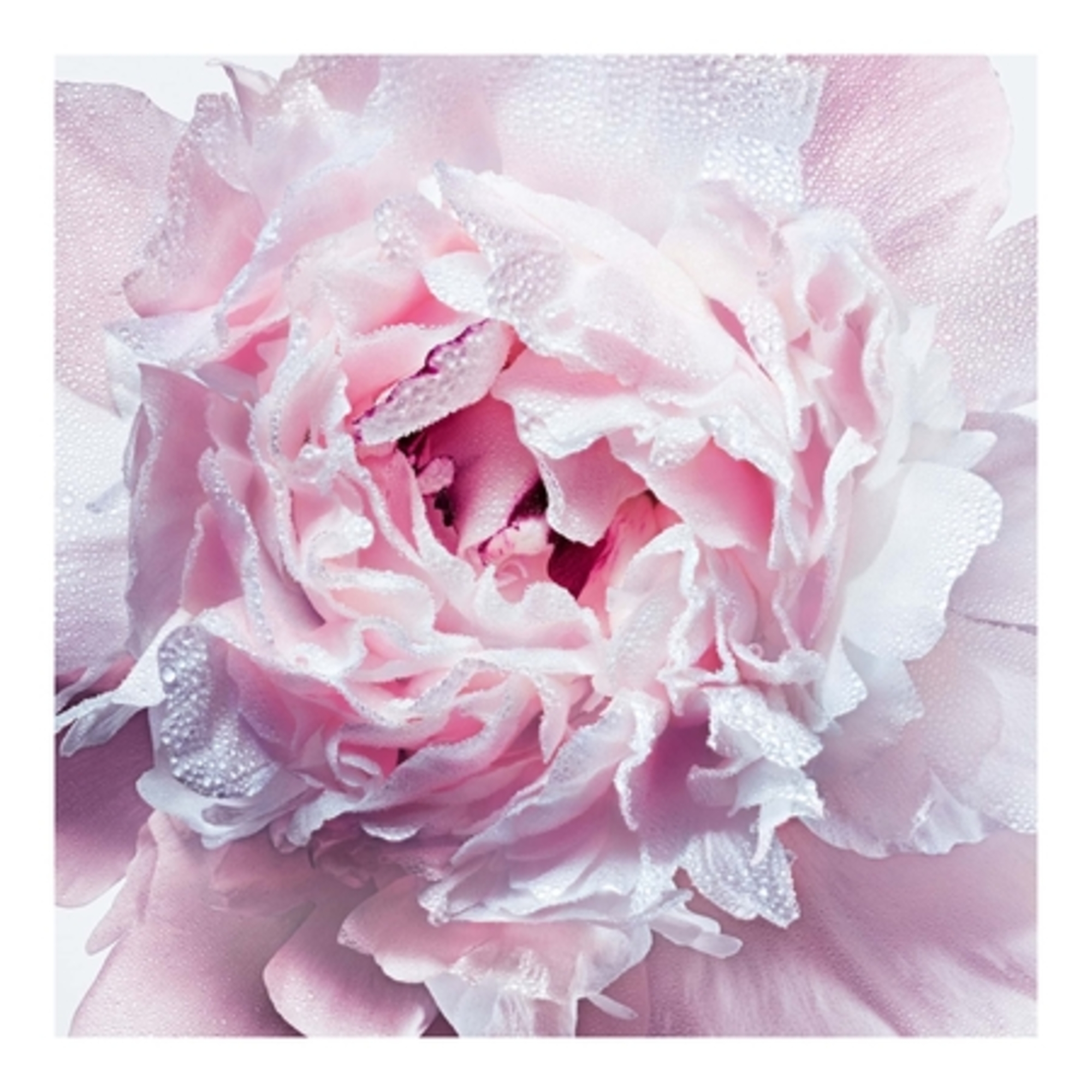 MISS DIORDéodorant parfumé