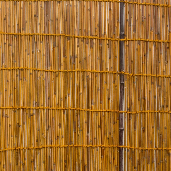 Sichtschutzmatte, Schilfrohr/Bambus, LxH: 180 x 180 cm
