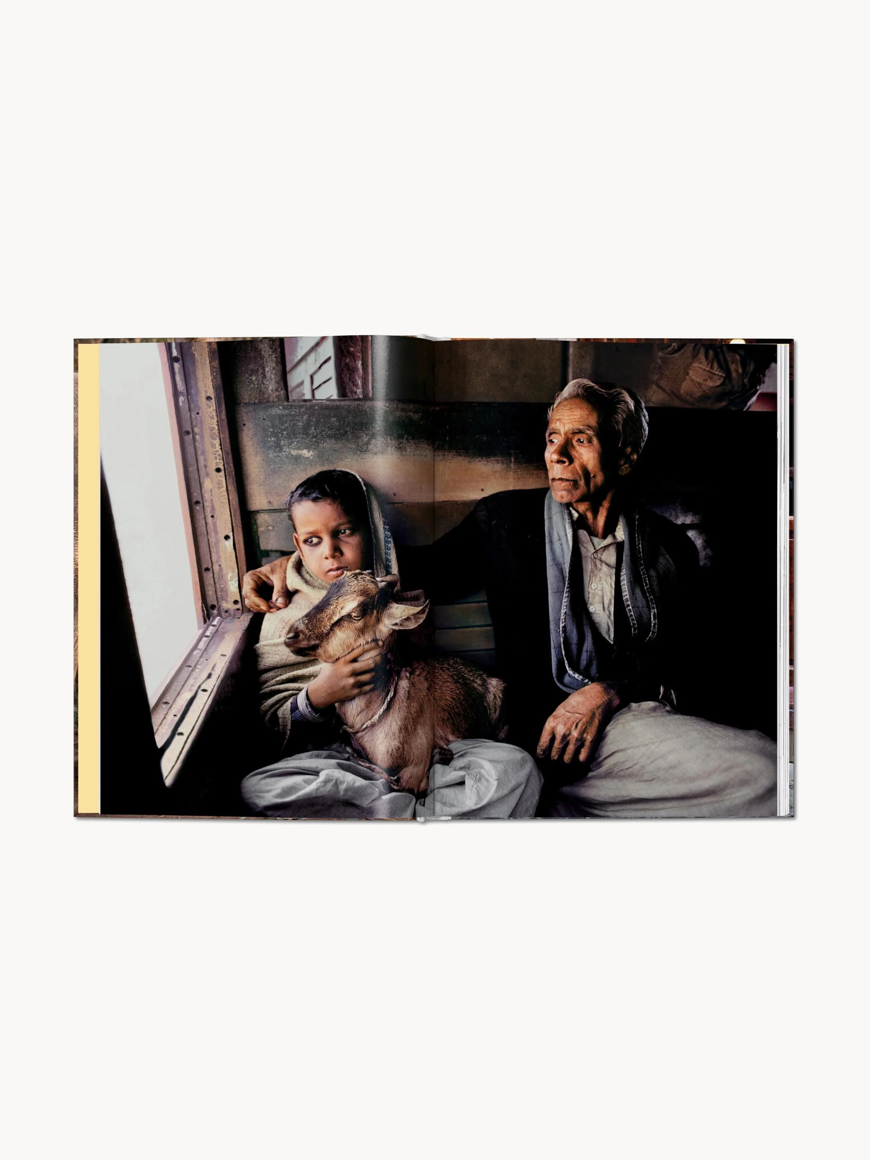 Bildband Steve McCurry. Animals
