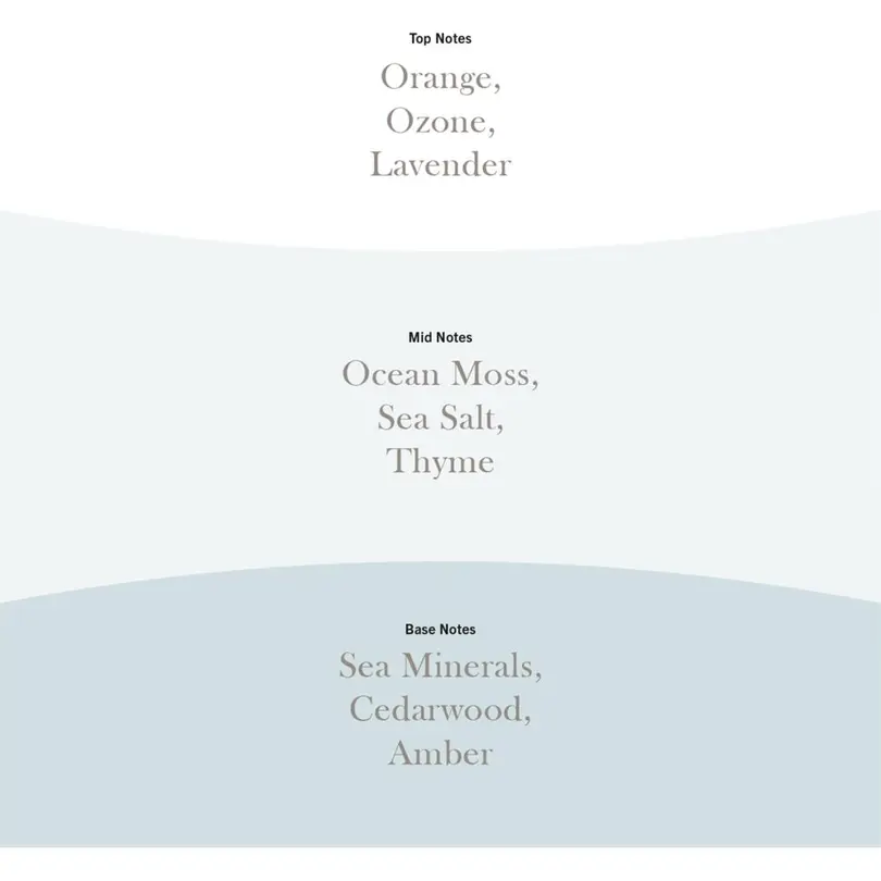 Duftkerze Cedarwood & Ocean Moss