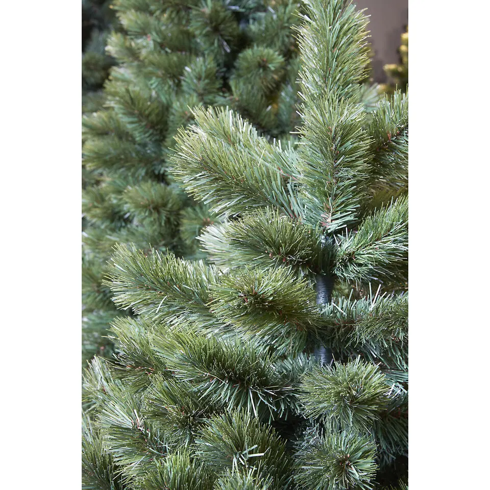 Triumph Tree Camden kerstboom slim groen TIPS 195 - h120xd69cm