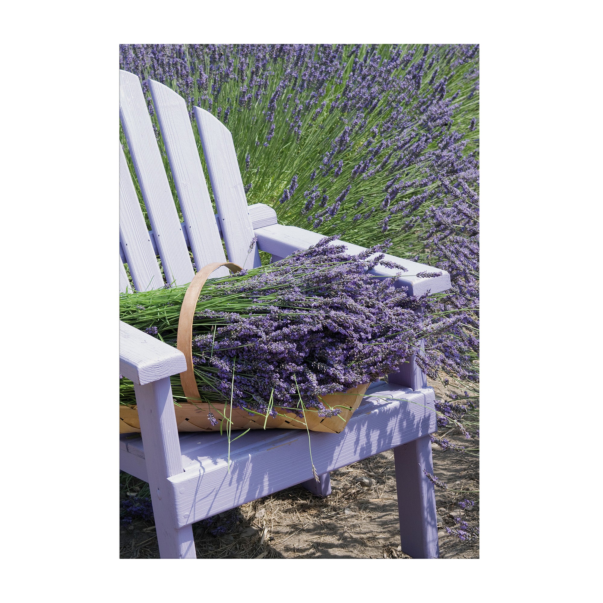 Art for the Home Buitencanvas Lavendel Stoel
