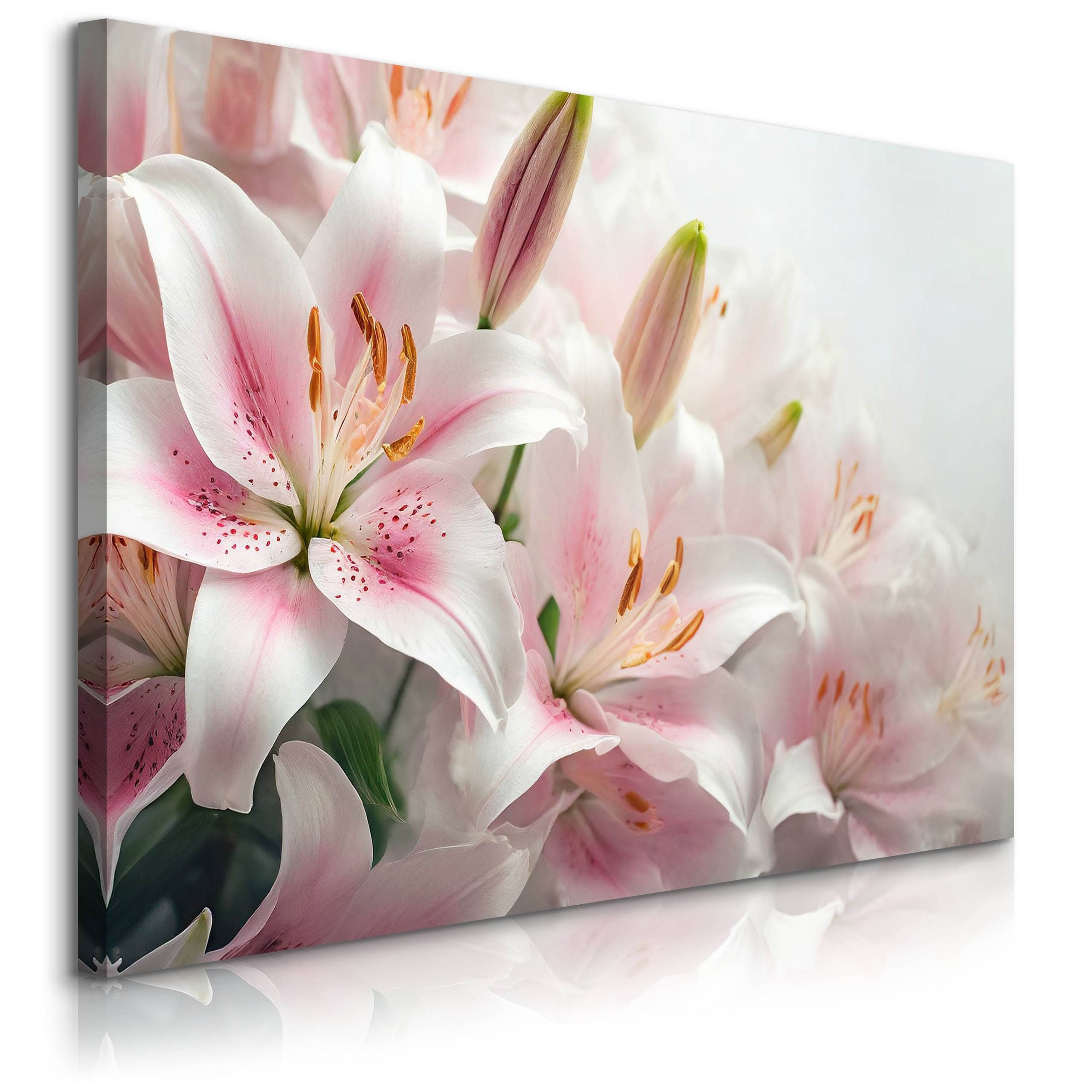 Obraz Delikatne Lilie 30x20cm