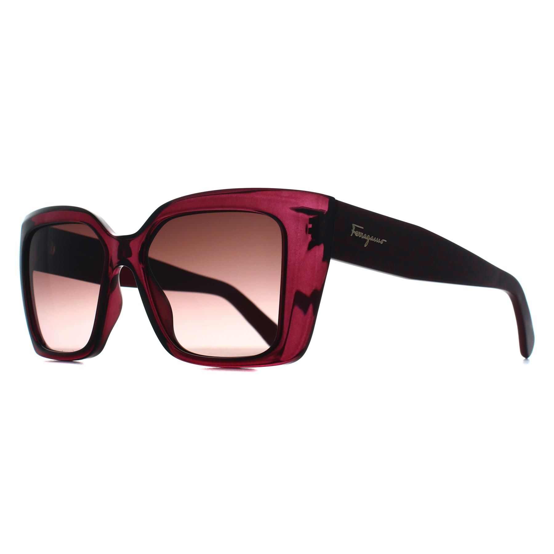 Salvatore Ferragamo Square Transparent Cyclamen Brown Gradient SF1042S