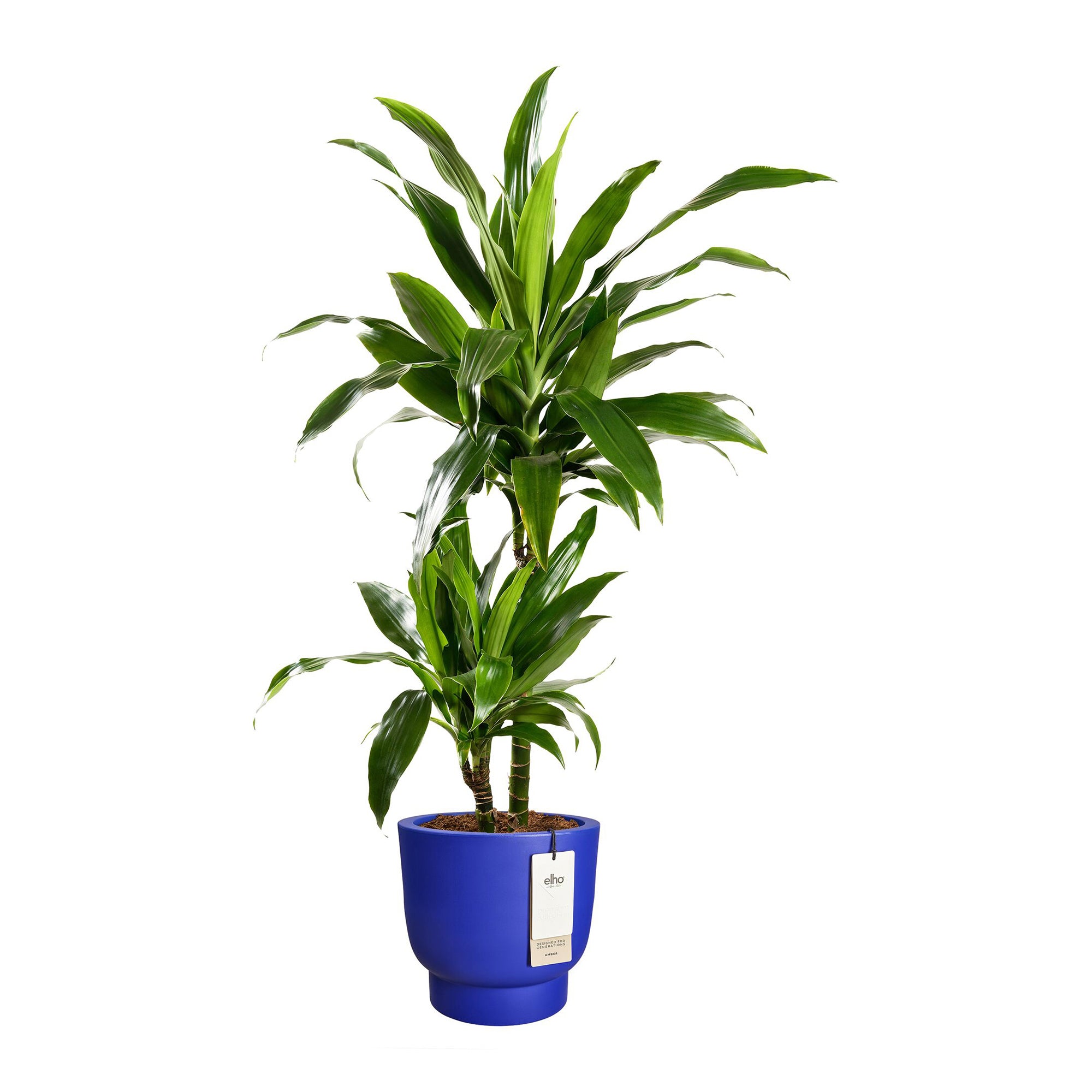 Elho Amber Grail 40 - Royal blue - Ø 38 x H 36 cm - Binnen en Buiten -