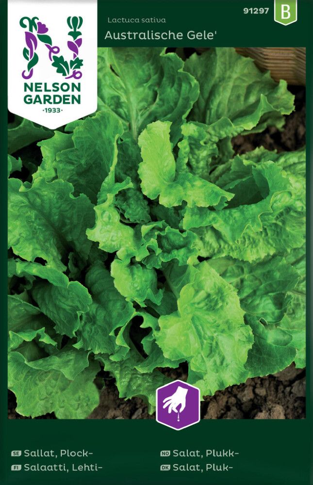 GRØNNSAKSFRØ NELSON GARDEN BLADSALAT AUSTRALISCHE GELE