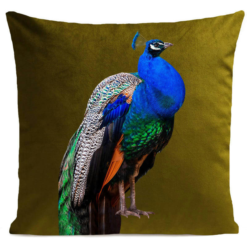 - Coussin campagne paon velours vert olive 40x40cm
