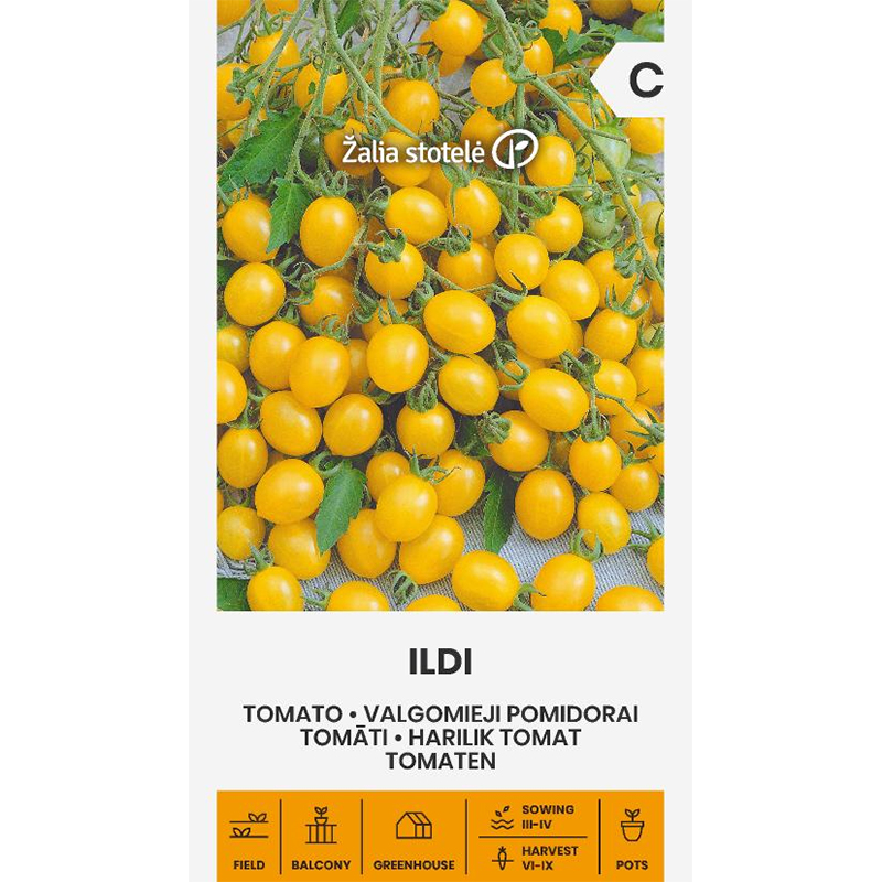 Körsbärstomat 'Ildi'