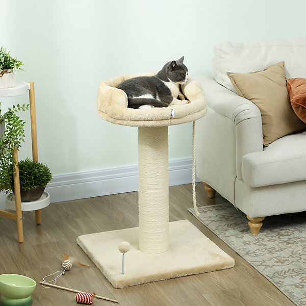 Arbre à chat griffoir grattoir sisal naturel plateforme d'observation corde d'escalade boule à ressort peluche beige