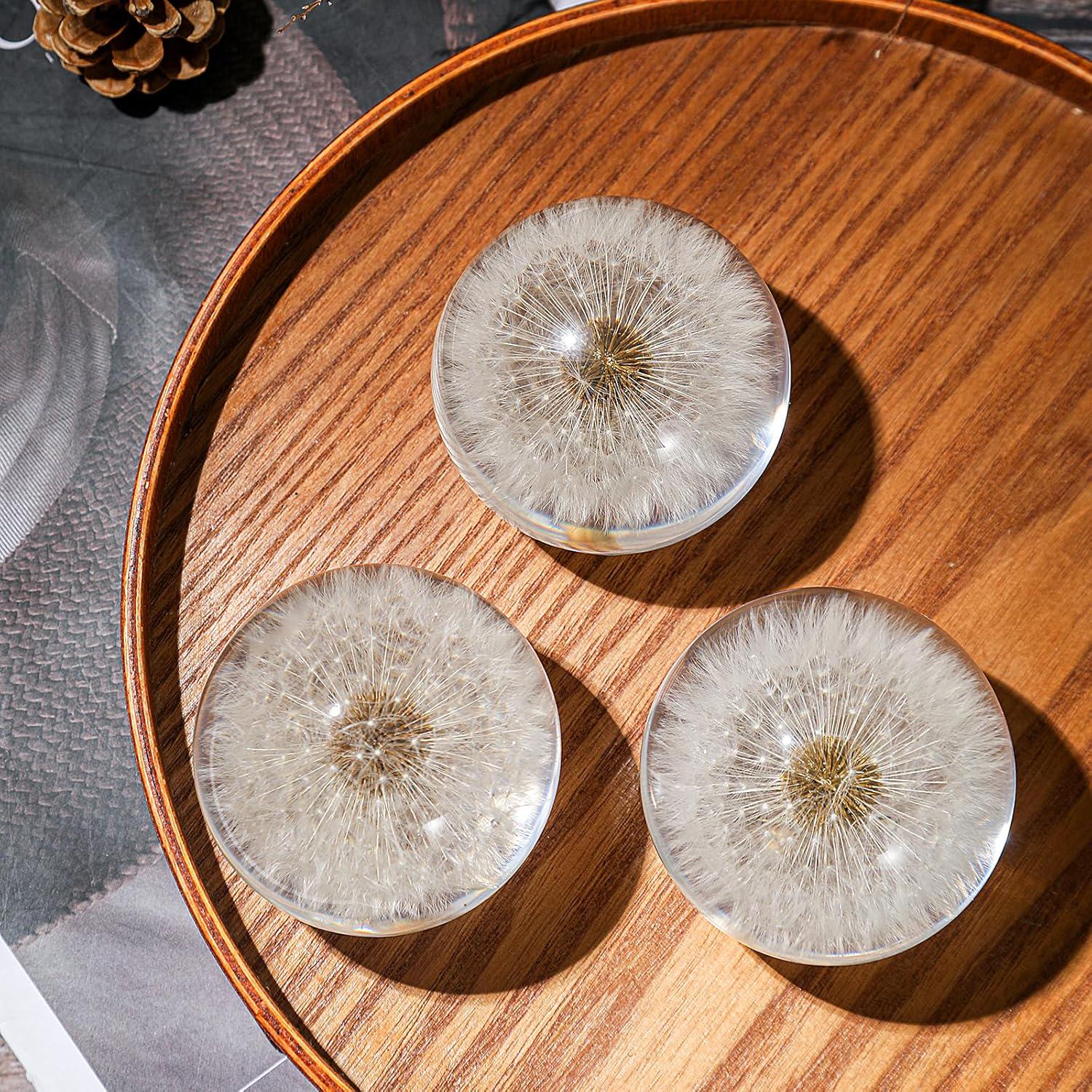 Real Dandelion Crystal Ball Paperweight, Nature Botanical Sphere Decor