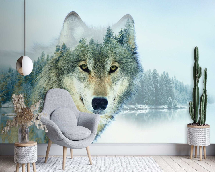 Feeby Fototapeta, Wilk jezioro 150x105