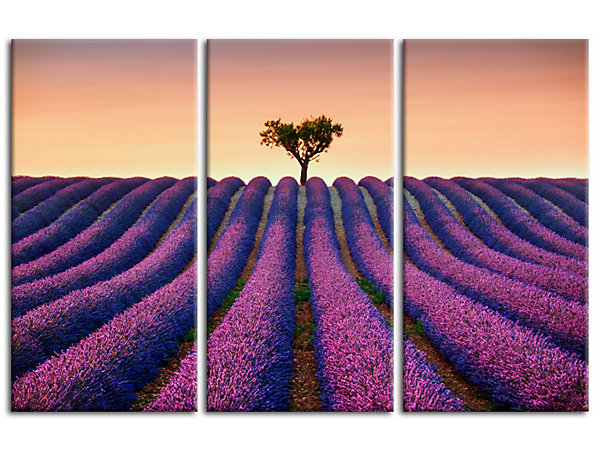 DECLINA, Tableau toile imprimée Paysage, Tableau triptyque Champs de Lavande, 90x60 cm