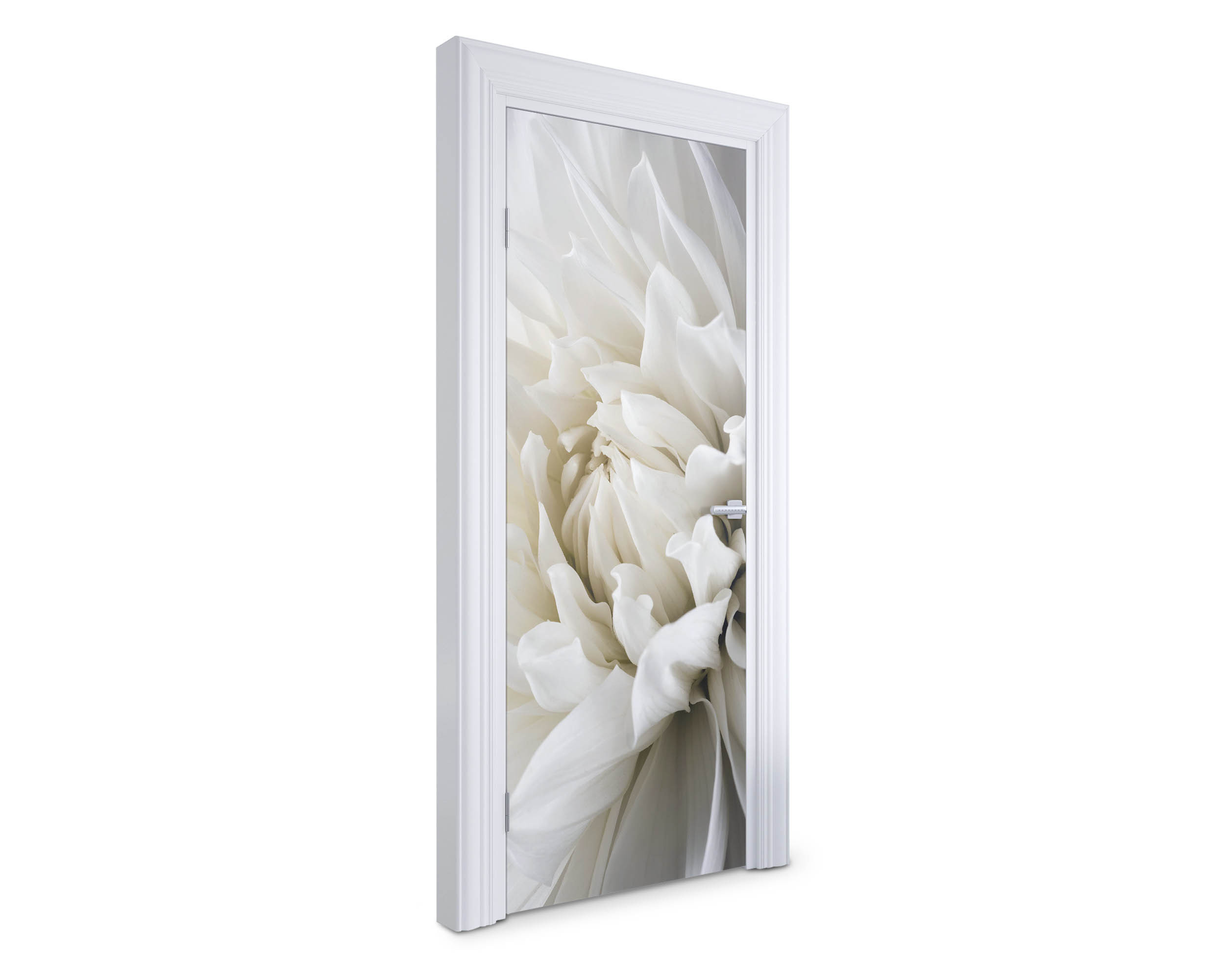 Naklejka na drzwi Biała dalia 75x205 cm Fototapeta