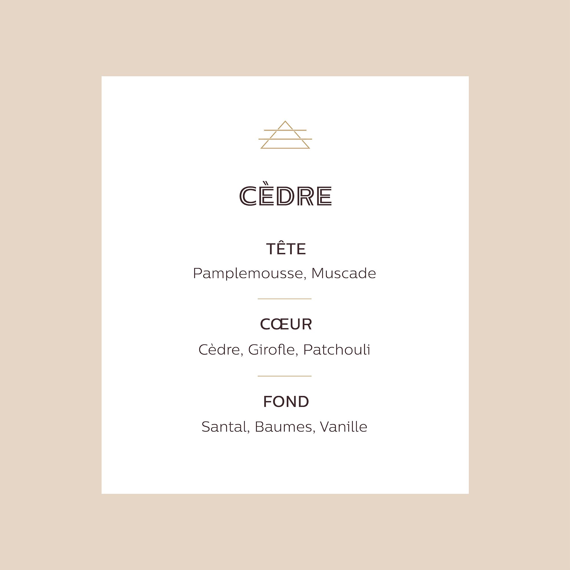 ESTEBAN - Recharge pour diffuseur cèdre 250ml