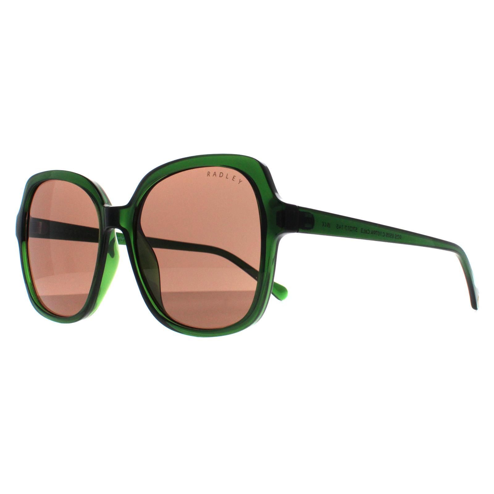 Radley Square Transparent Dark Green Brown Phoenix 6505